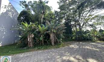 Imagem 2: Lote/Terreno - Fortaleza - Blumenau