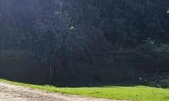 Imagem 5: Sítio - Vila Itoupava - Blumenau