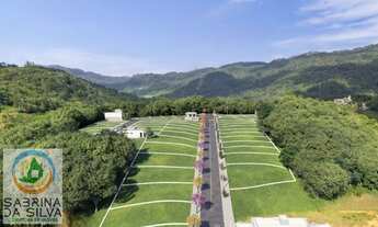 Imagem 2: Lote/Terreno - Araponguinhas - Timbó