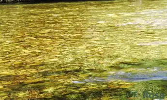 Imagem 3: Oportunidade Única: 30 Hectares na MT-251 (Estrada de Chapada) com 600m de Beira do Rio Co