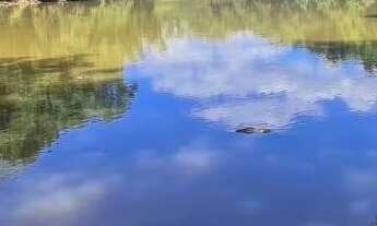 Imagem: Fazenda Beira Rio Manso em Chapada - FA6958