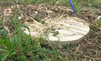 Imagem 7: Terrenos em condomínio Florais Esmeralda para venda, Bairro São Sebastião na Av. Das Tor