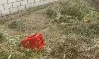 Imagem 6: Terreno para venda, 415 m², Osmar Cabral, Cuiabá