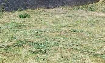 Imagem 2: Terreno para venda, Residencial Altos Do Parque, Cuiabá