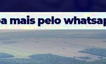 Imagem: Terrenos ou lotes comercial/industrial para