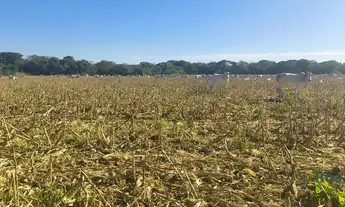 Imagem: Fazenda para venda, Rosário Oeste, MT