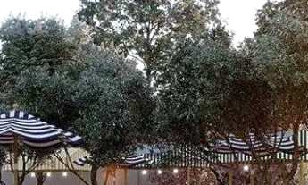 Imagem: Terrenos em condomínio Florais Esmeralda