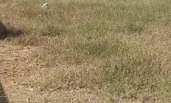 Imagem: Terreno para venda, Jardim Imperial Ii