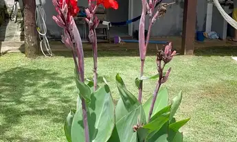 Imagem 2: Casa para venda, 2 quartos, Centro, Chapada Dos Guimarães - CA8125