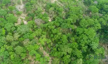 Imagem 4: Terrenos ou lotes residenciais para venda, -Coxipó do Ouro, Cuiabá - TE6978
