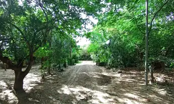 Imagem 2: Terreno para venda, 985m², Nova Esperança, Cuiabá