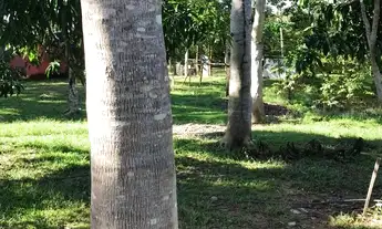 Imagem 5: Chácara para venda, - Cuiabá