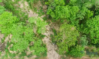 Imagem 3: Terrenos ou lotes residenciais para venda, -Coxipó do Ouro, Cuiabá - TE6978