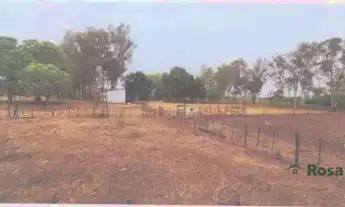 Imagem: Fazenda para venda, Estrada do Aricá-Mirim