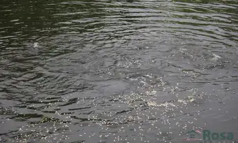 Imagem 7: Terreno para venda ZONA RURAL SANTO ANTÔNIO DO LEVERGER - 16575