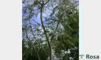 Imagem 2: Terreno para venda ZONA RURAL SANTO ANTÔNIO DO LEVERGER - 16575