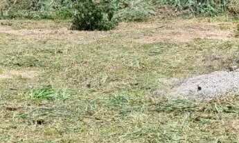 Imagem 5: Terreno para venda, Residencial Altos Do Parque, Cuiabá