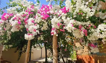 Imagem 2: Casa para venda, Boa Esperança, Cuiabá - CA8219