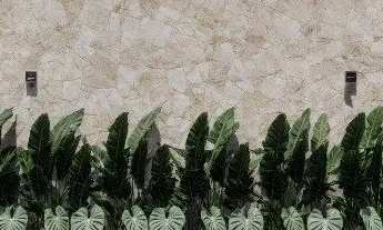 Imagem 4: Sobrado para venda, Ribeirão Do Lipa, Cuiabá - SO6716