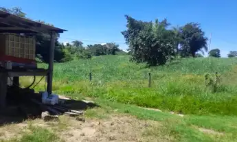 Imagem 3: Fazenda Beira Rio Manso em Chapada