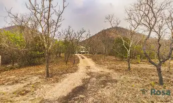 Imagem 7: Chácara para venda, Chapada Dos Guimarães, Cuiabá - CH6828