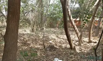 Imagem 2: Terreno para venda, Altos Do Coxipó, Cuiabá - TE5157