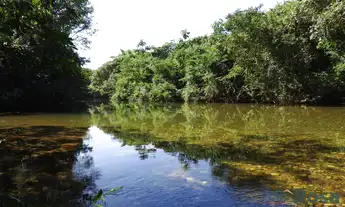 Imagem 2: Oportunidade Única: 30 Hectares na MT-251 (Estrada de Chapada) com 600m de Beira do Rio Co