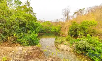Imagem 4: Chácara para venda, Chapada Dos Guimarães, Cuiabá - CH6828