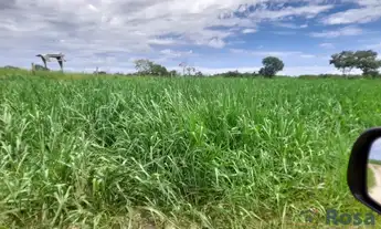 Imagem 5: Fazenda Beira Rio Manso em Chapada