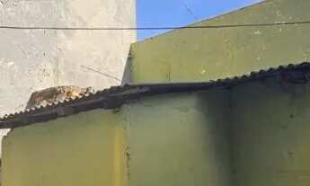 Imagem 5: Prédio Comercial para venda, Centro da Cidade, Cuiabá - PR6481