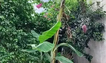 Imagem 7: Terrenos em condomínio rural para venda, - Selecione - Bairro, Cuiabá - TE8469