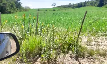 Imagem 6: Fazenda Beira Rio Manso em Chapada