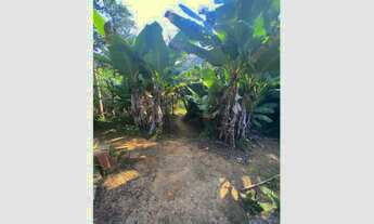 Imagem 6: Fazenda à venda no bairro Taboão - Taubaté/SP