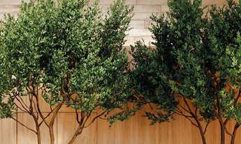 Imagem 3: Apartamento Garden à venda em São Paulo, Ibirapuera, com 2 quartos, 180,53m²