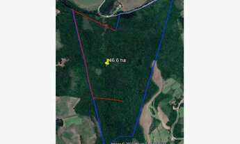 Imagem: Fazenda à venda no bairro Tunas - Tunas/RS