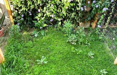 Imagem 7: CASA RESIDENCIAL em Porto Alegre - RS, Santa Tereza