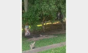 Imagem: FAZENDA RESIDENCIAL em Gravataí - RS, Neópolis