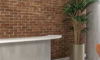 Imagem 3: Cores de Fátima