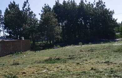 Imagem 3: Terreno à venda no bairro Atlântida Sul - Osório/RS