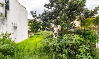 Imagem 3: Na Rua Estevão Cruz