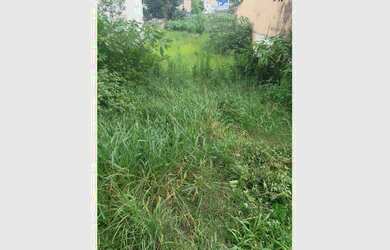 Imagem 4: Na Rua Estevão Cruz