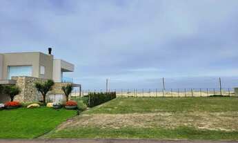 Imagem: Na Avenida Paraguassú