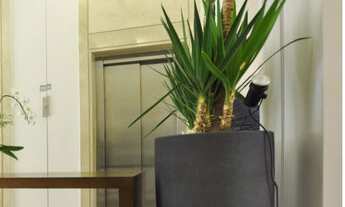 Imagem 2: Apartamento à venda no bairro Chácara Inglesa - São Paulo/SP