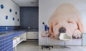 Imagem 3: Apartamento à venda no bairro Butantã - São Paulo/SP