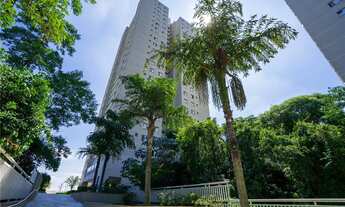 Imagem 7: Apartamento à venda no bairro Lar São Paulo - São Paulo/SP