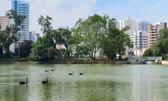 Imagem 7: Apartamento à venda no bairro Aclimação - São Paulo/SP