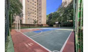 Imagem 4: Apartamento à venda no bairro Vila das Mercês - São Paulo/SP