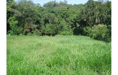 Imagem 5: TERRENO RESIDENCIAL em Porto Alegre - RS, Lomba do Pinheiro