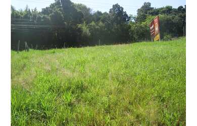 Imagem 6: TERRENO RESIDENCIAL em Porto Alegre - RS, Lomba do Pinheiro