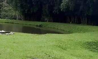 Imagem: FAZENDA RESIDENCIAL em Embu-Guaçu - SP